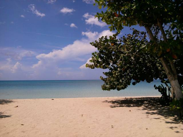 Ansells Thatchwalk Cottages Negril Jamaica